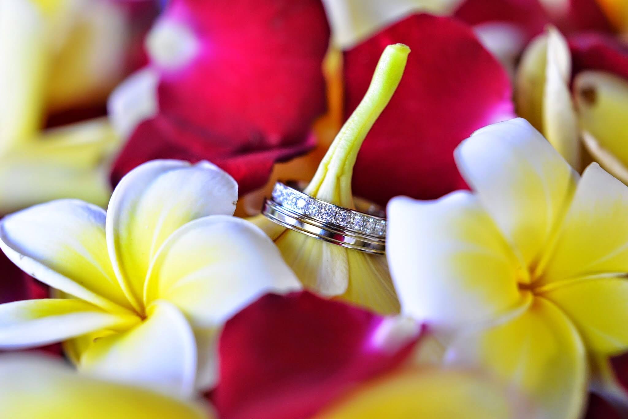 エンゲージリングの写真です。