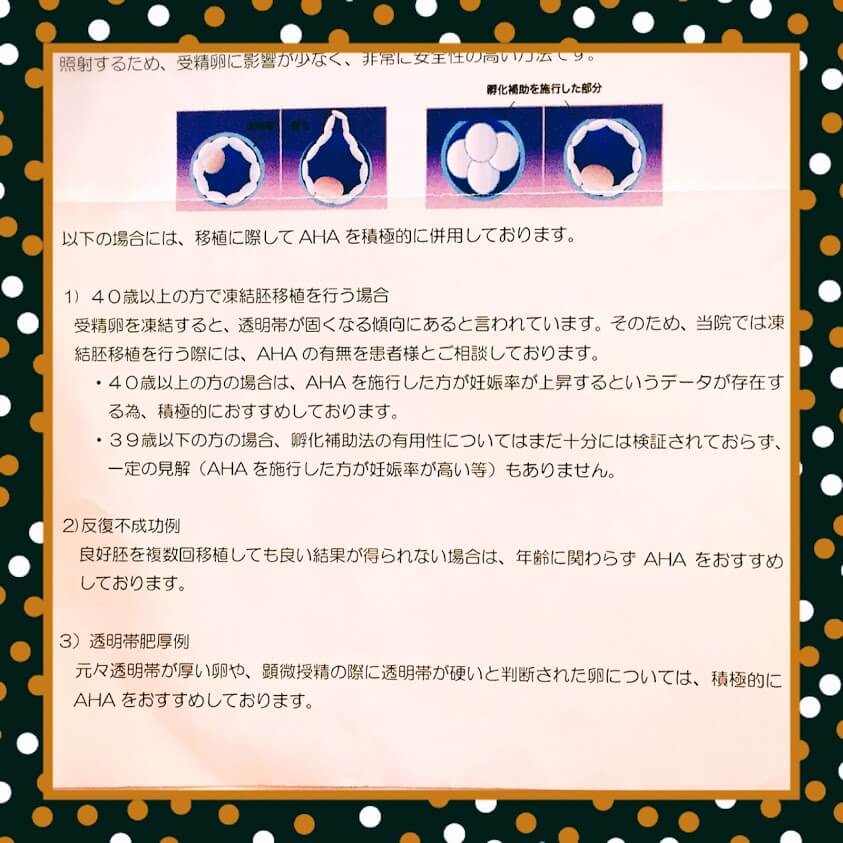 孵化補助法について書かれた病院の資料の写真です。